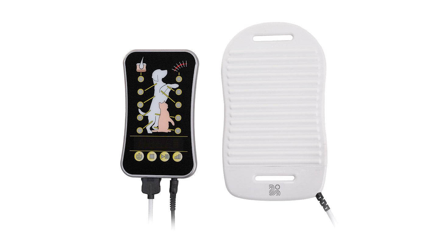 BIOFLEX Pet Therapy P120 Rental