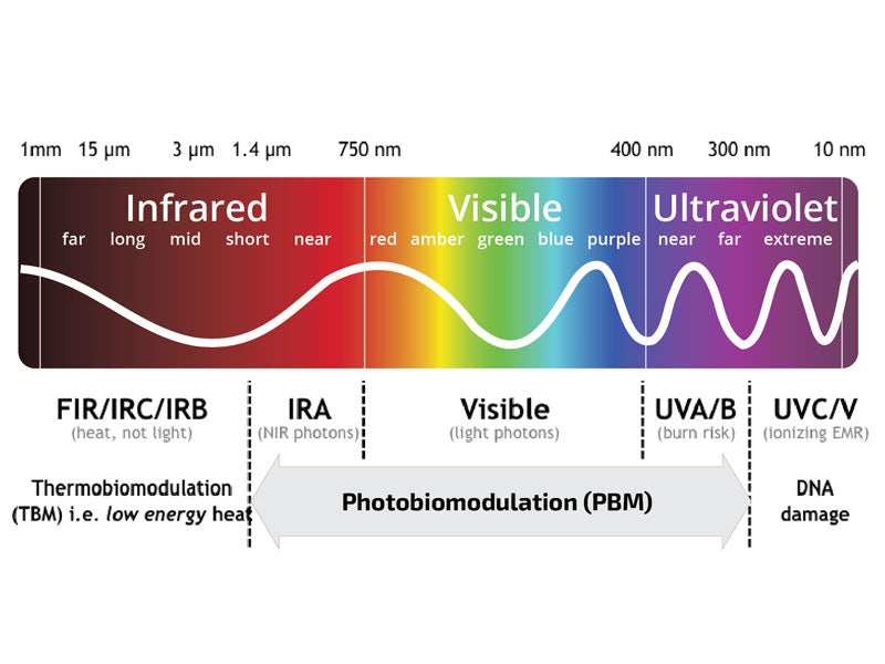 files/THM-Bioflex-lightspectrum-lasertherapy-800x600px.jpg