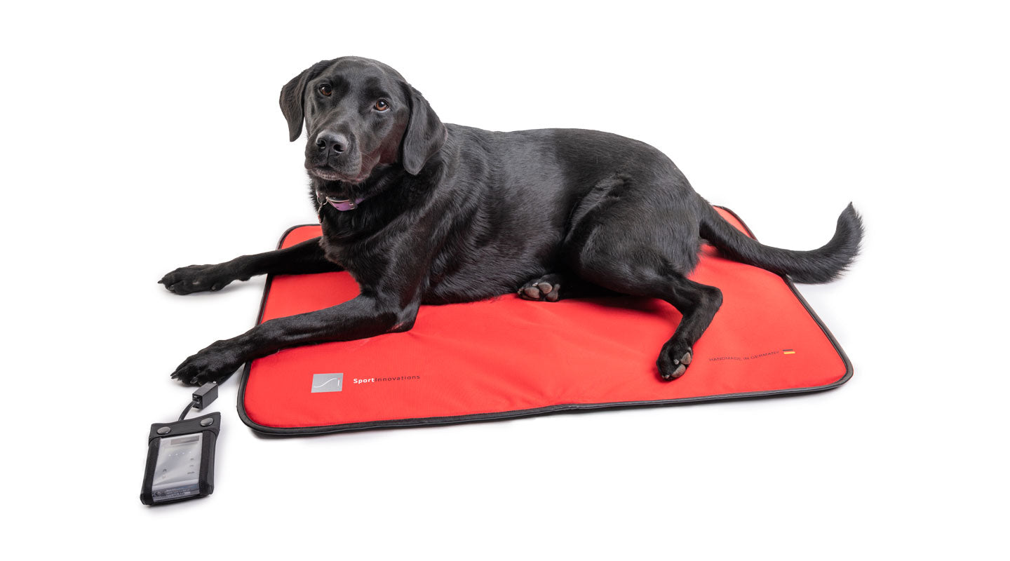 PEMF Canine Mat Rental