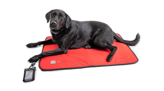 PEMF Canine Mat Rental