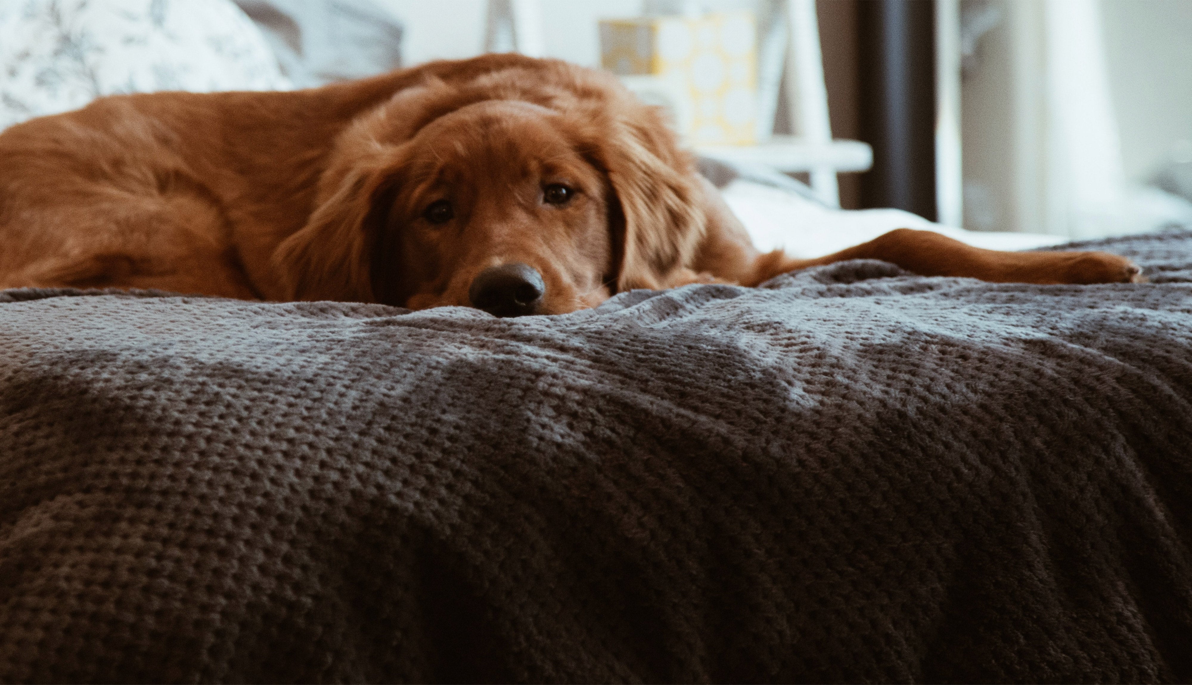 files/conner-baker-F7m-YKqqBFQ-unsplash-WEB-4000x2300.jpg