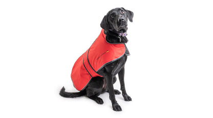 PEMF Canine Coat Purchase